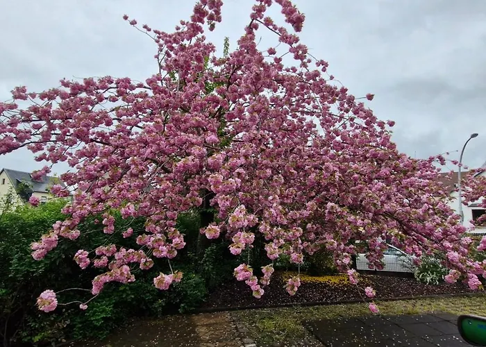 Maisionette Sternchen Apartmán Heidenau (Saxony)